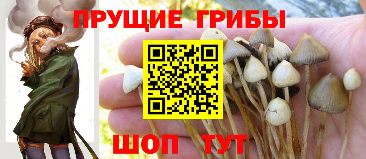 Трёхгорный  Галлюциногенные грибы прущие грибы  Вход с VPN 
